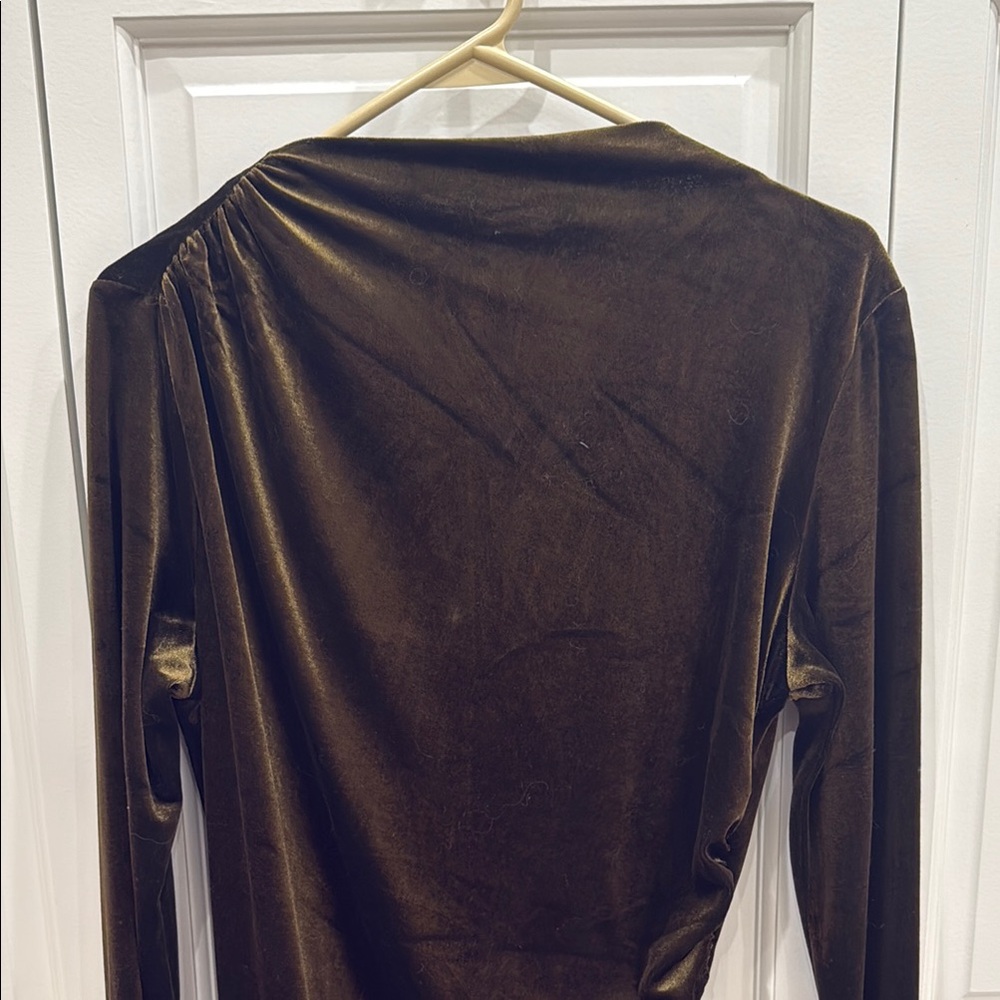 Elegant Velvet Dress - Picture 4 of 5